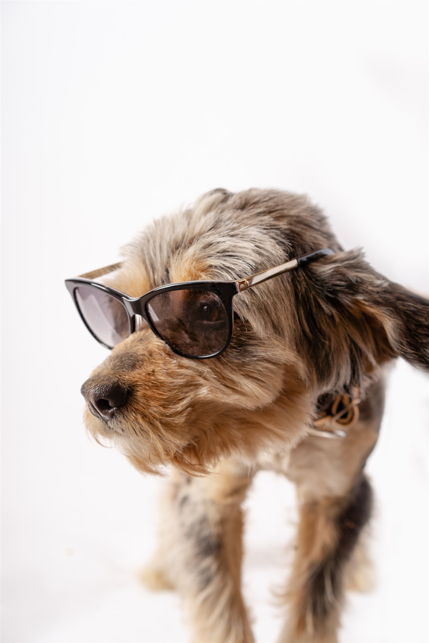 Pediatric Eye Exams Pediatric Eye Exams